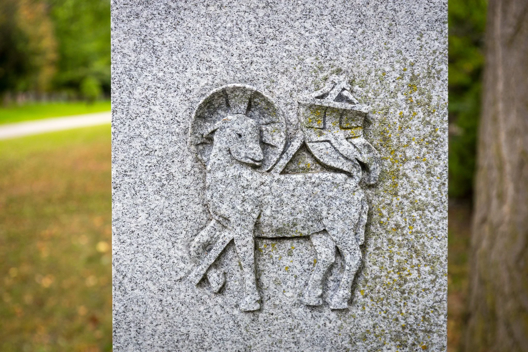 The Lamb of Canon Lamb