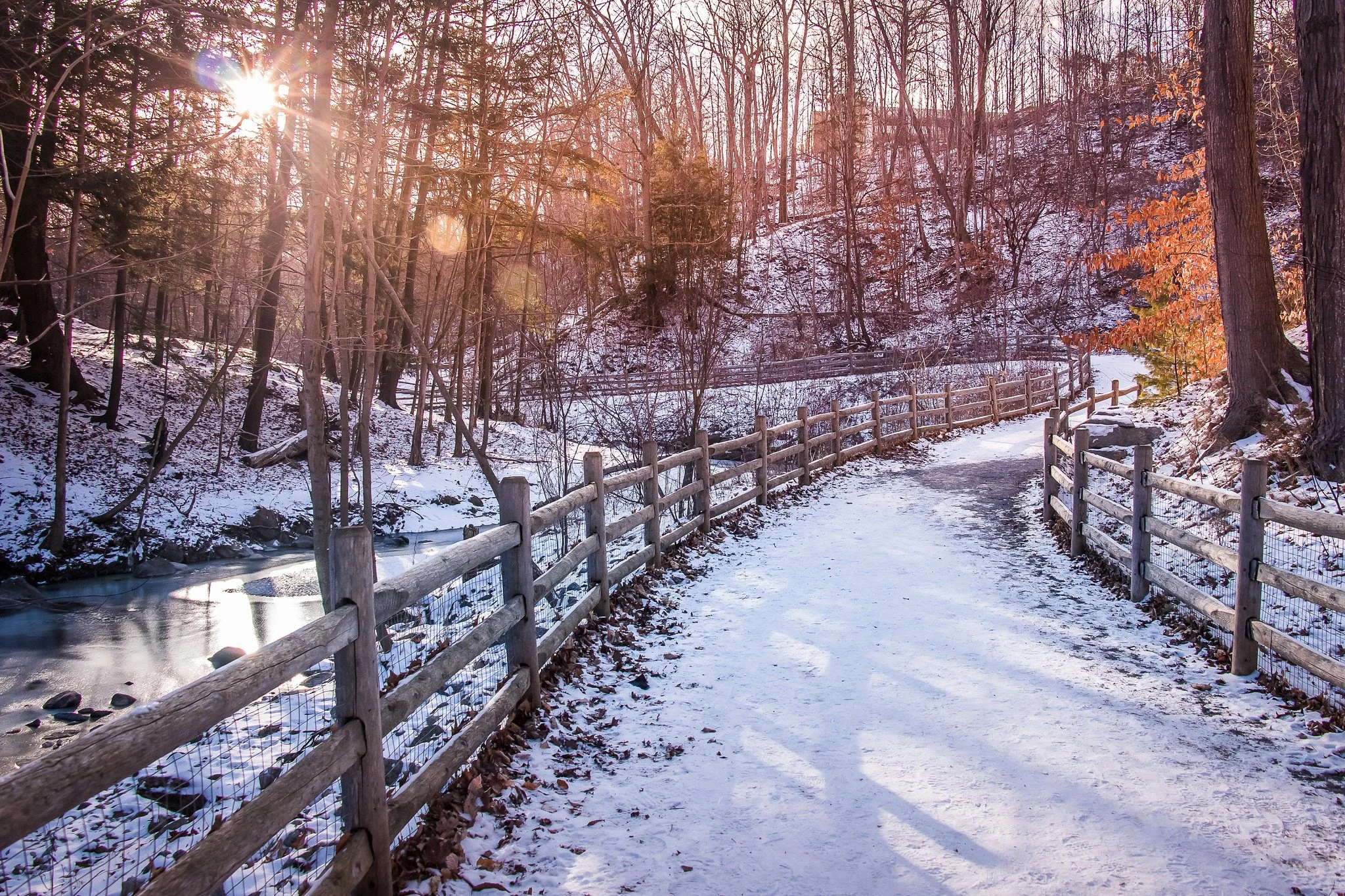 Sunnybrook Park, Toronto