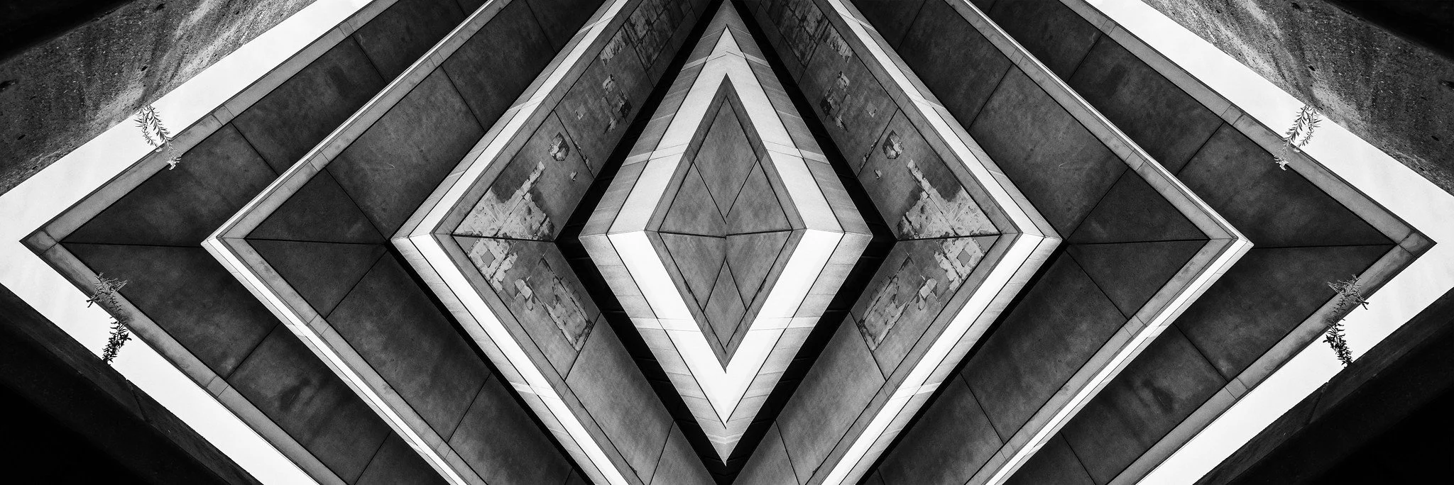 51716153344_53f85a0288_k.jpg