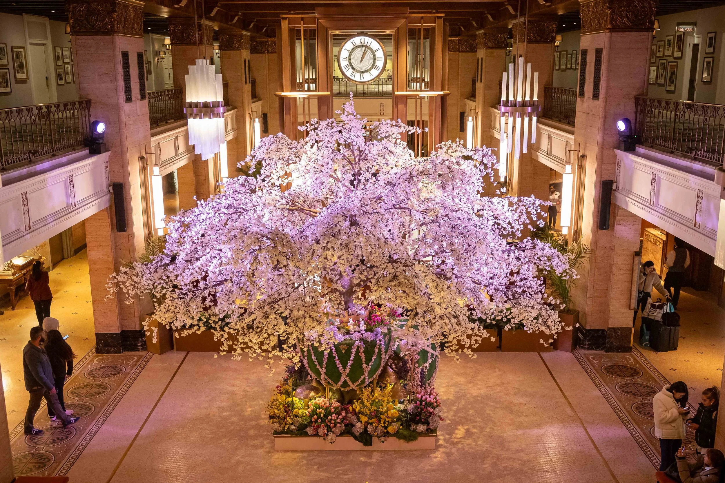 Overhead view of the Splendour of Spring installation inside the Fairmont Royal York lobby in Toronto, featuring a large cherry blossom tree surrounded by layered floral arrangements and set beneath the hotel’s historic clock and Art Deco interior.