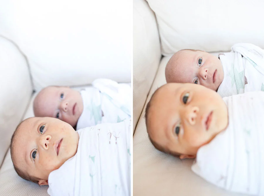 The Debut of the Twins | Austin Newborn Photographer