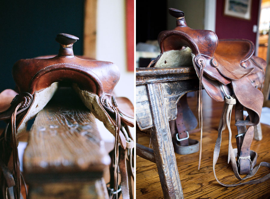 Farmyard Darlings | Austin Commercial Photographer