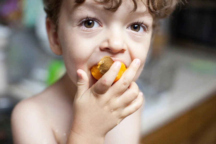 Two Boys, a Camera and Some Apricots