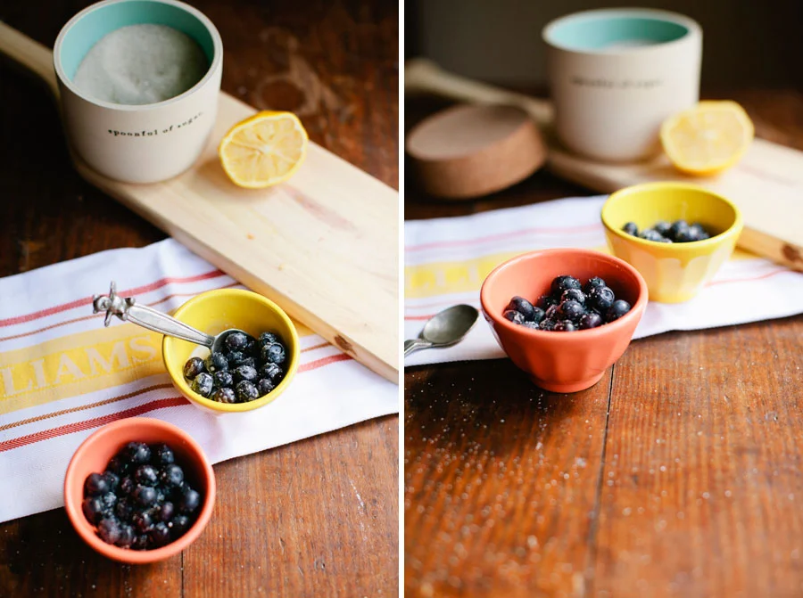 Blueberries | Austin Food Photographer