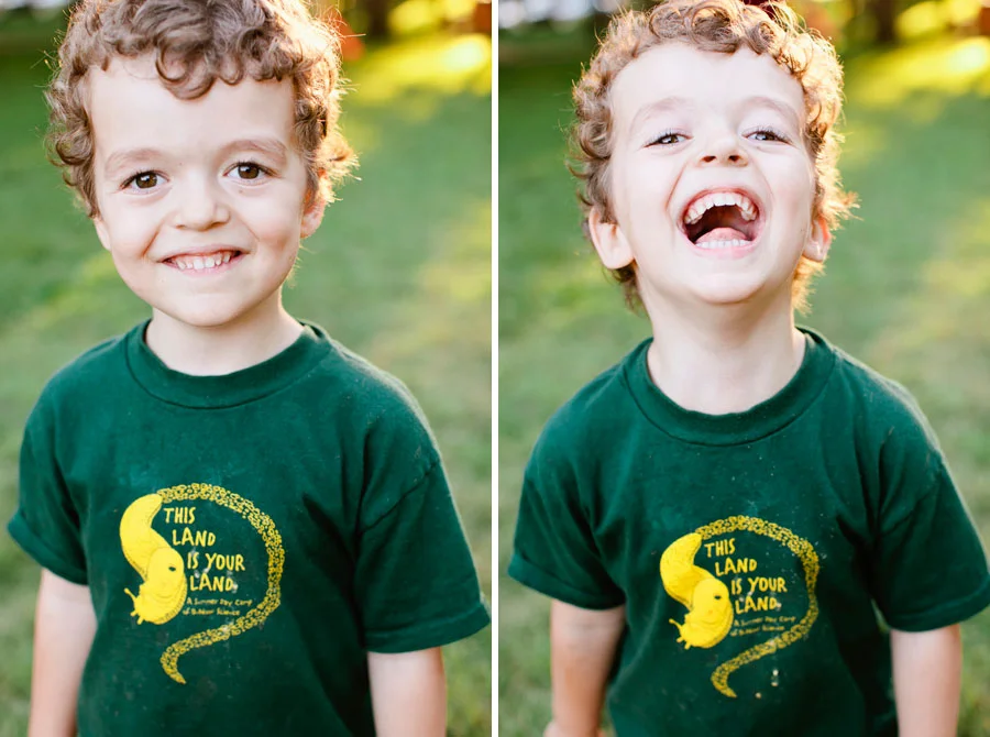 Summer Evenings at the Park with the Dogs