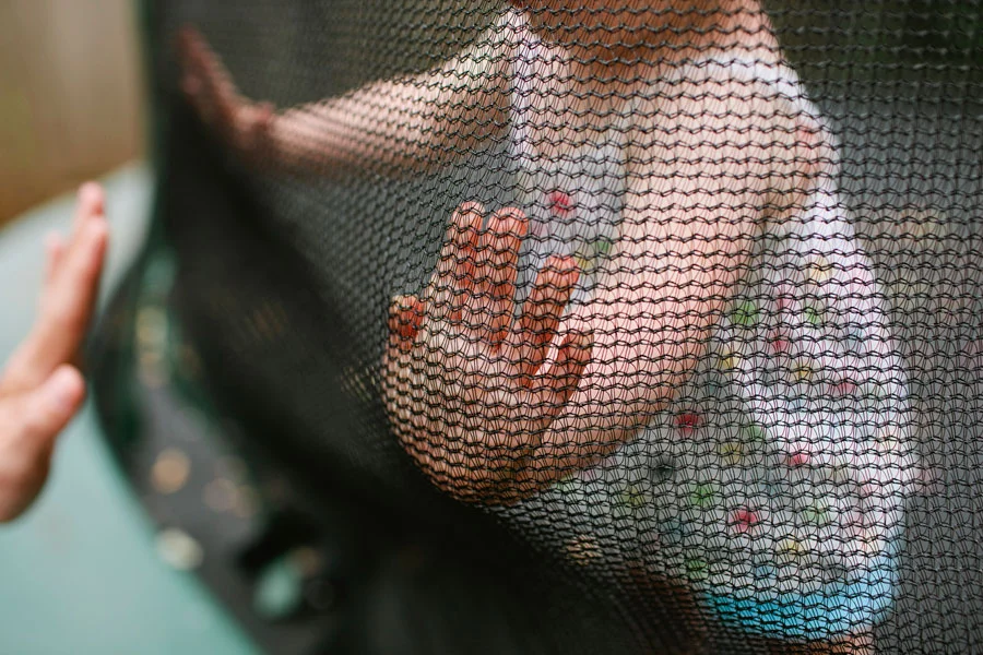 Maggie and Mathilda's First Visit Chez Nous