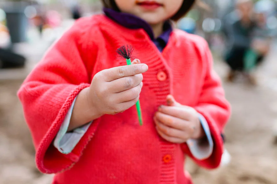 Children's Discovery Center | Dragonflies