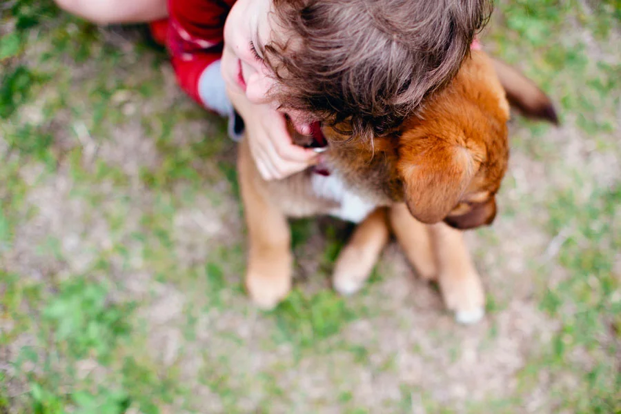 When Theo and Zach Came to Play