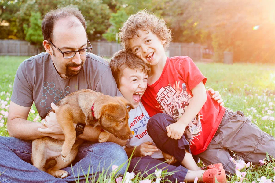 An Evening in the Wildflowers