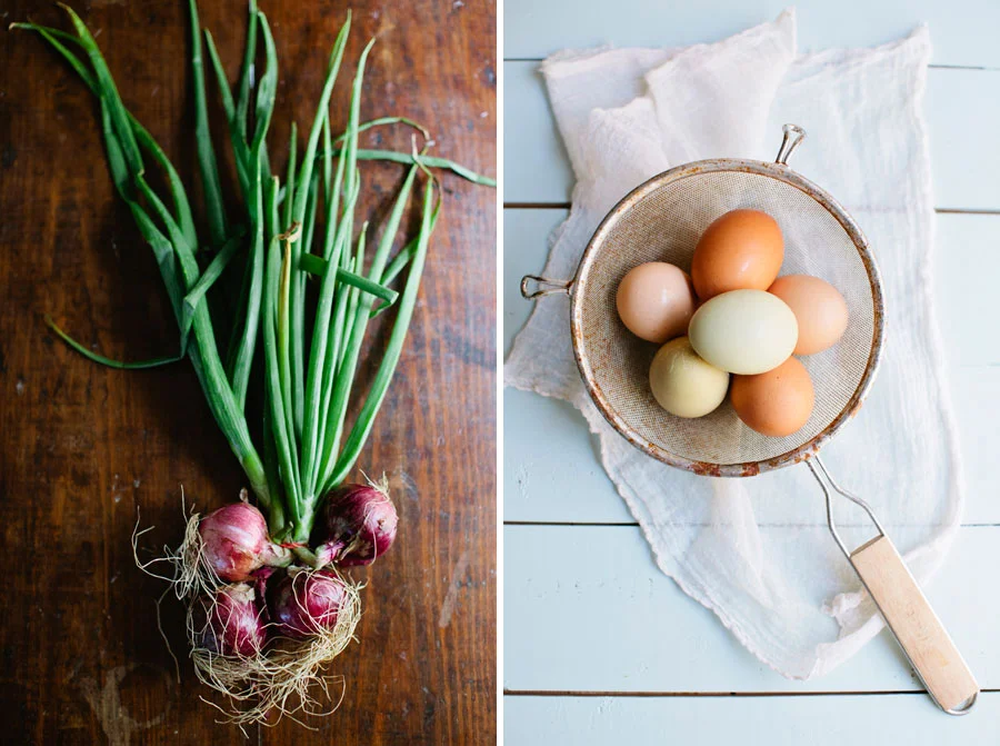 Ingredients | Austin Food Photographer