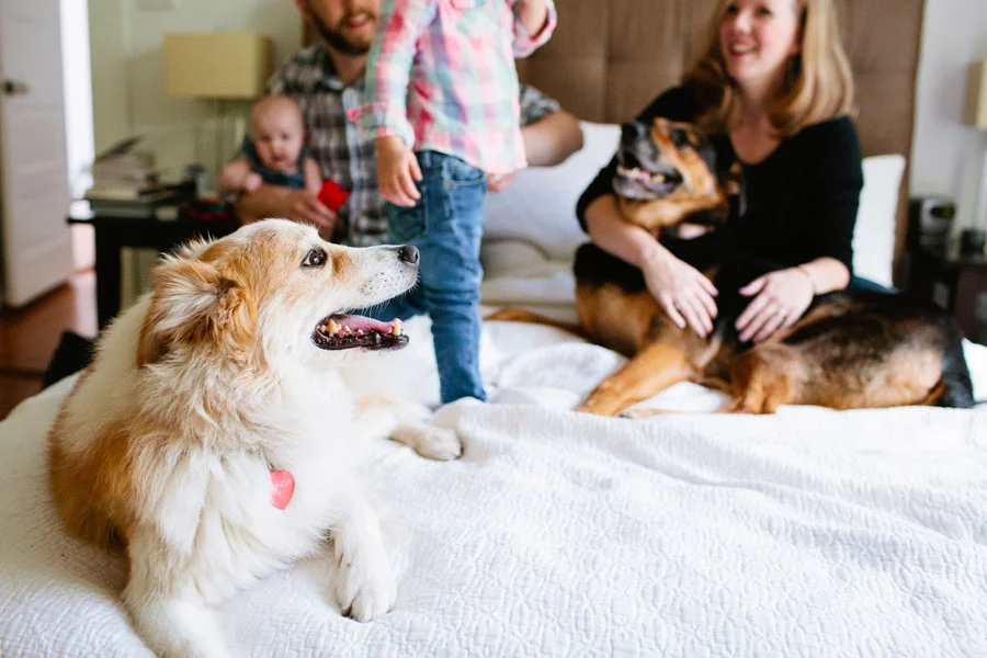 The Thorne Family | Austin Family Photographer