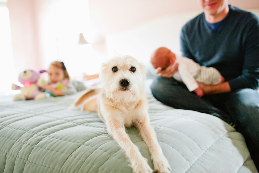 Oh Baby! | Austin Newborn Photographer