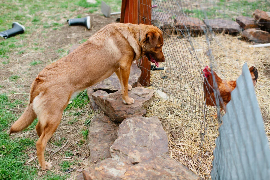 This is Becoming a Habit