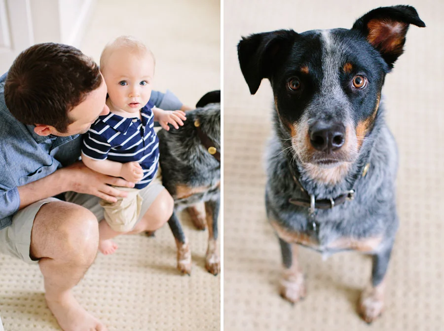 The Reeder Family | Austin Family Photographer