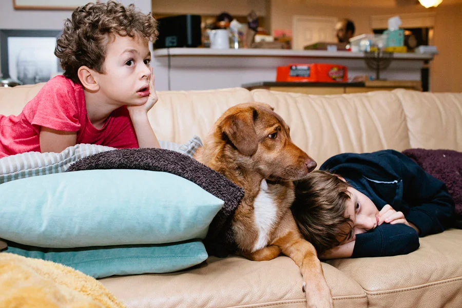 New Year's Eve Was Pretty Exciting Last Year