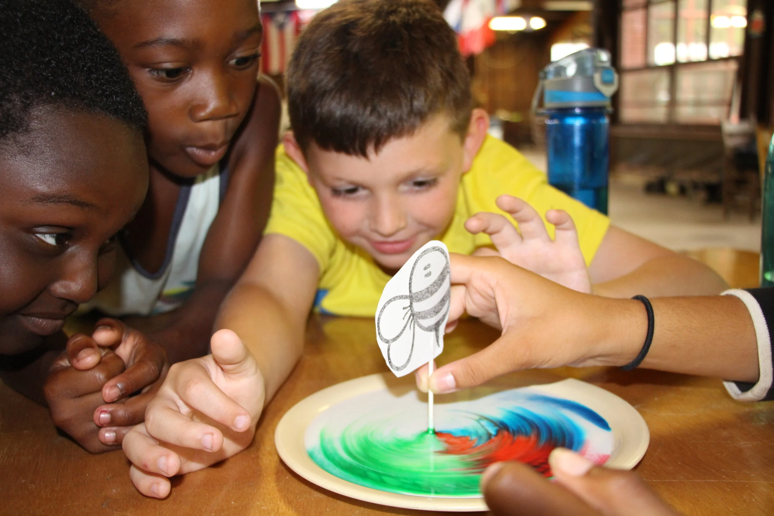 newsletter 1-STEAM.JPG