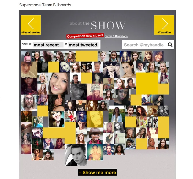 Fan Website Page
