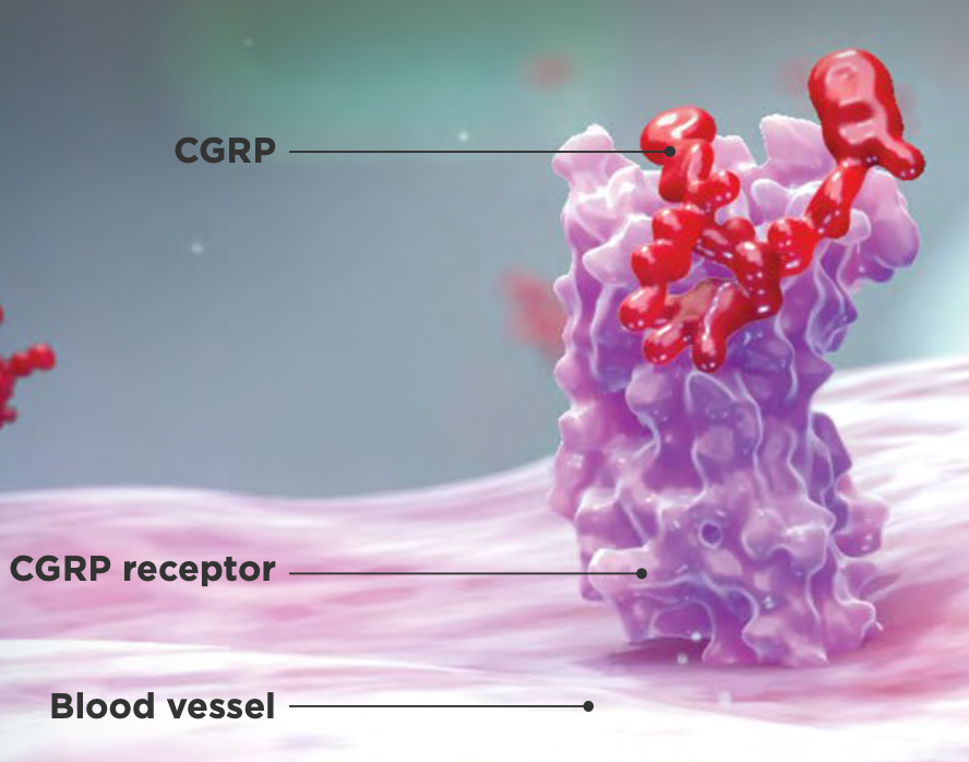 Screenshot 2025-10-15 at 01.26.15.png