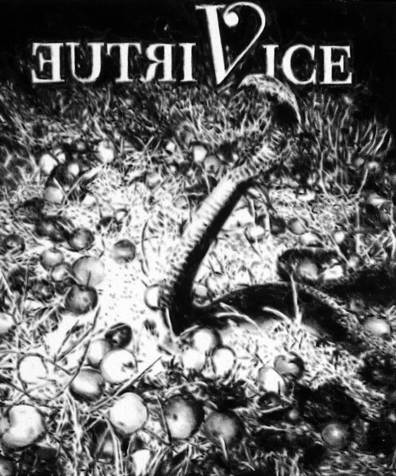 Vice and virtue, 2016
