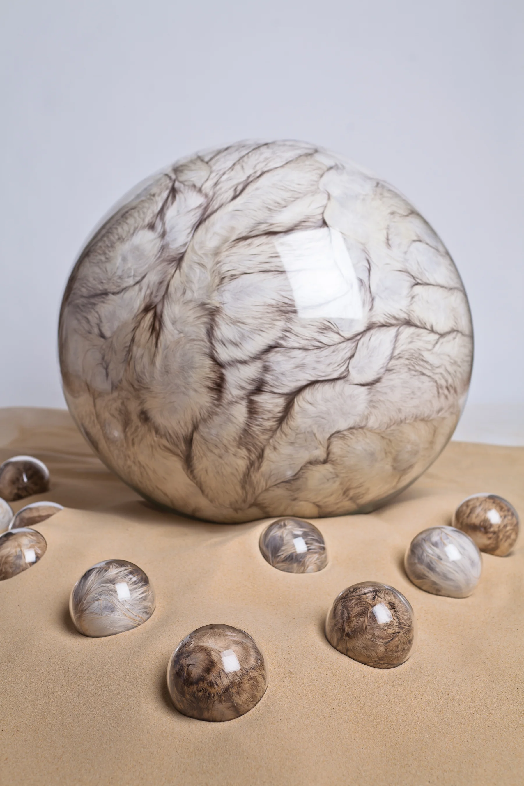 Mother Heb/loleta, 2012