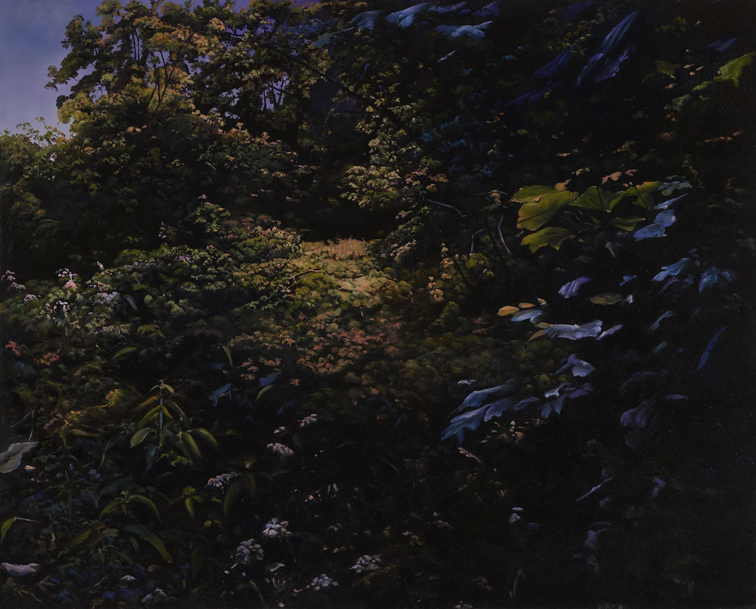 Washford Pyne 12, 2016