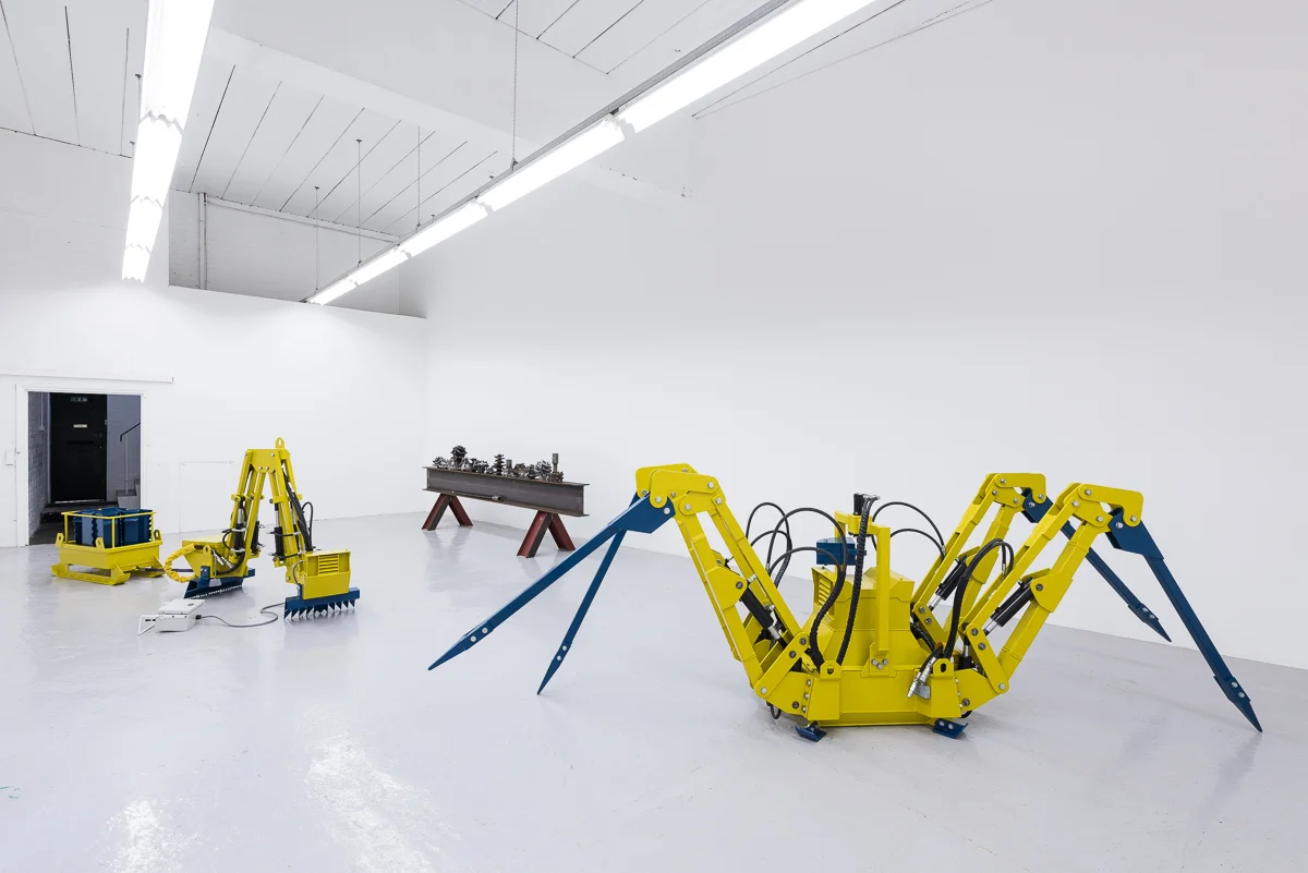 EARTH MARKING EXPEDITION, Hannah Barry Gallery, 2016