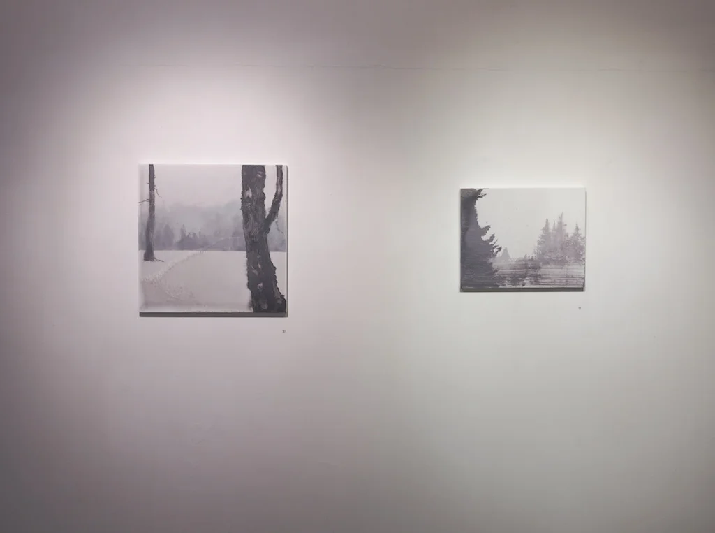 GREYSCALE - Solo exhibition at Amelia Johnson Contemporary (Installation shot), Hong Kong, 2014
