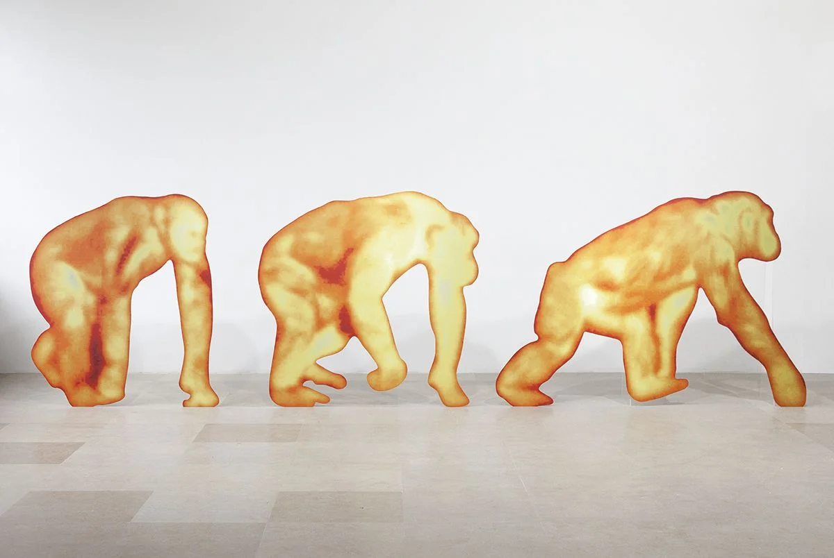 KATJA NOVITSKOVA / GREENE NAFTALI GALLERY