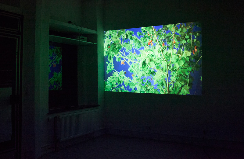 Sleep, installation view, 2015