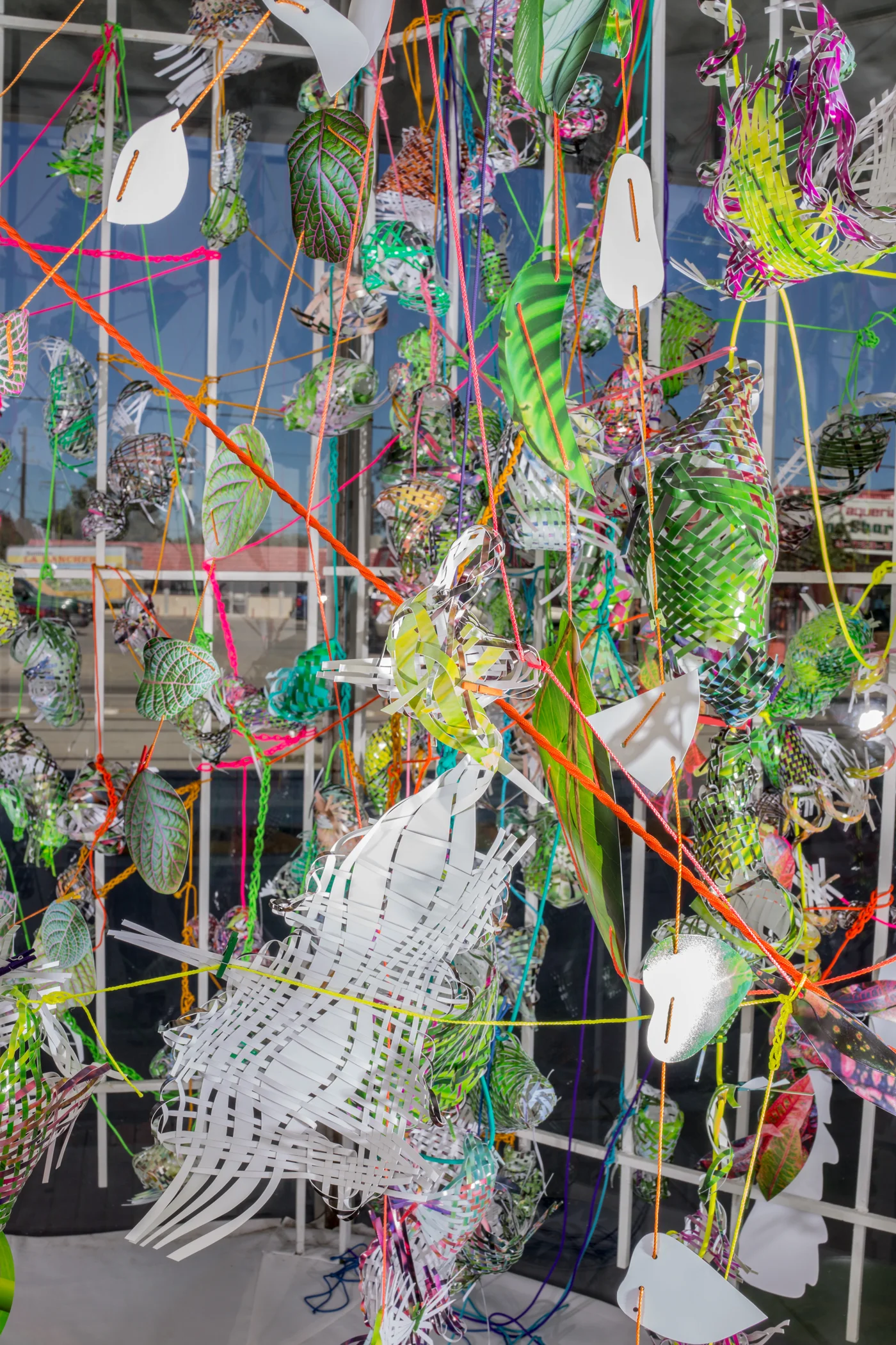 Hothouse, 2015