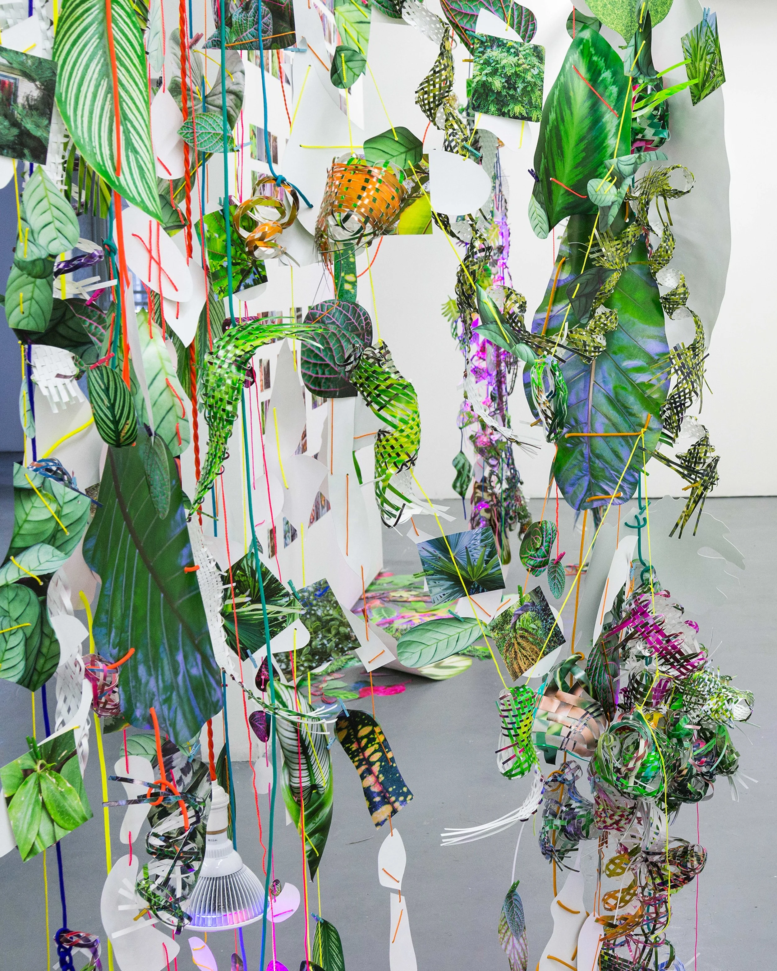 Hothouse, 2015