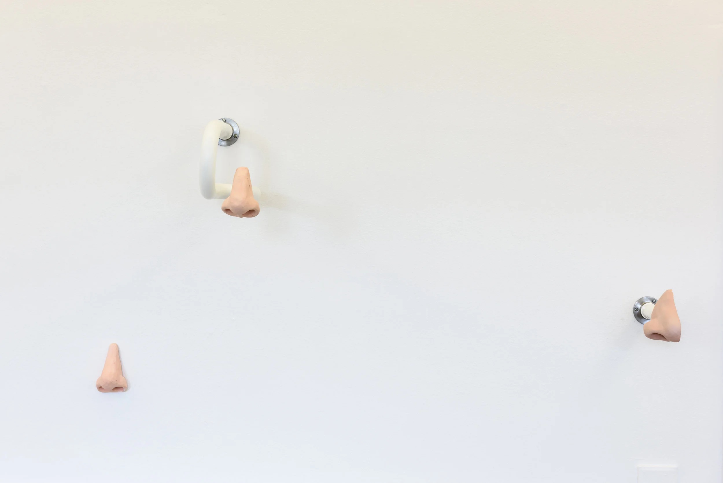 Nasothek, 2017 (c) Alastair Philip Wiper