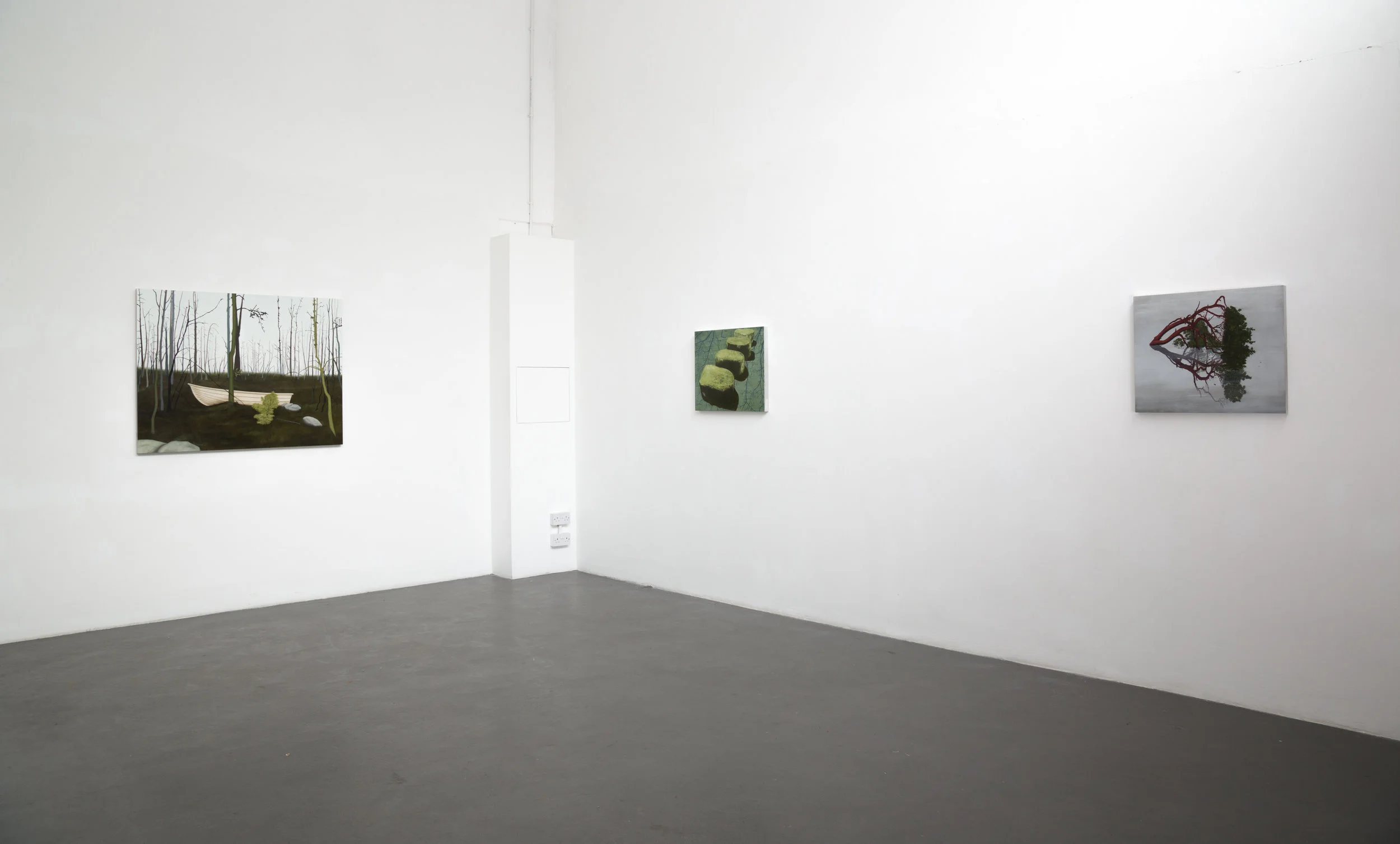 Installation View of Covadonga Valdes, Turps Gallery