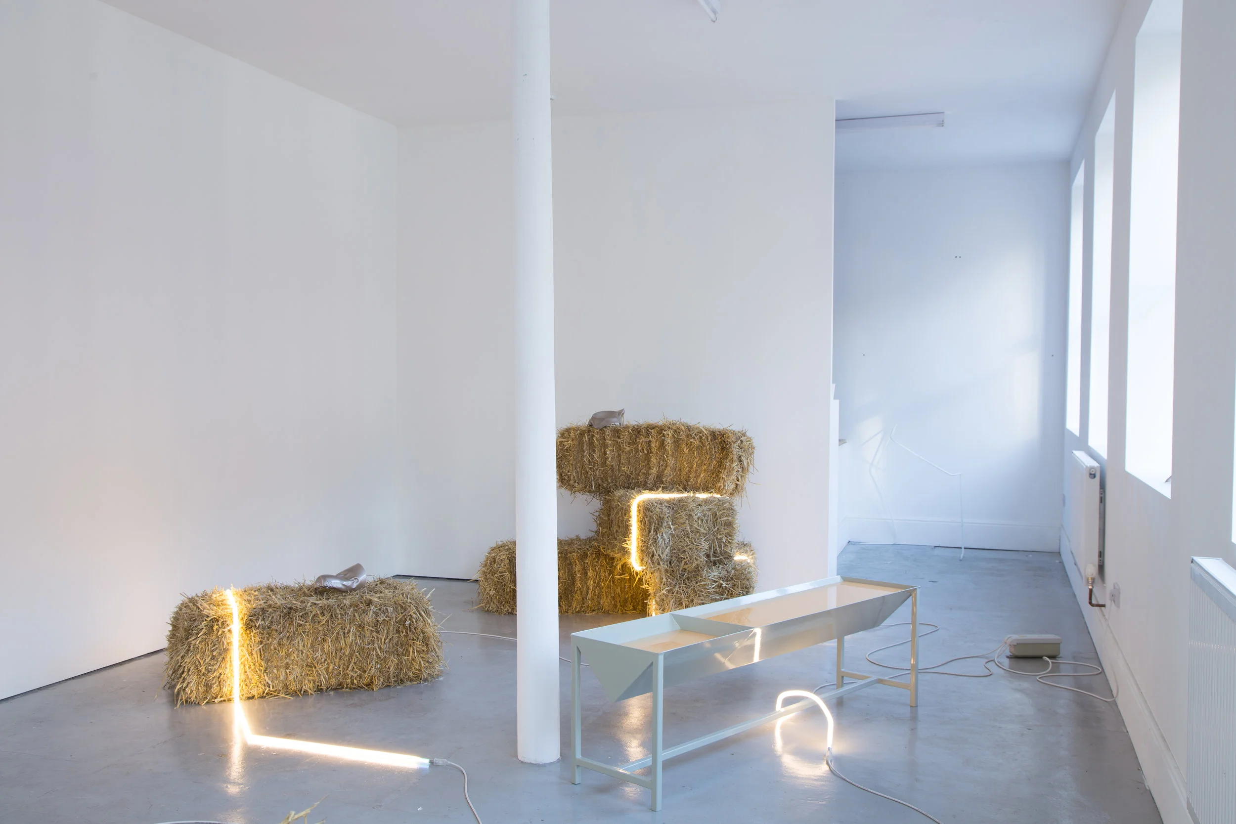 Scantily Clad (Installation shot) 2016