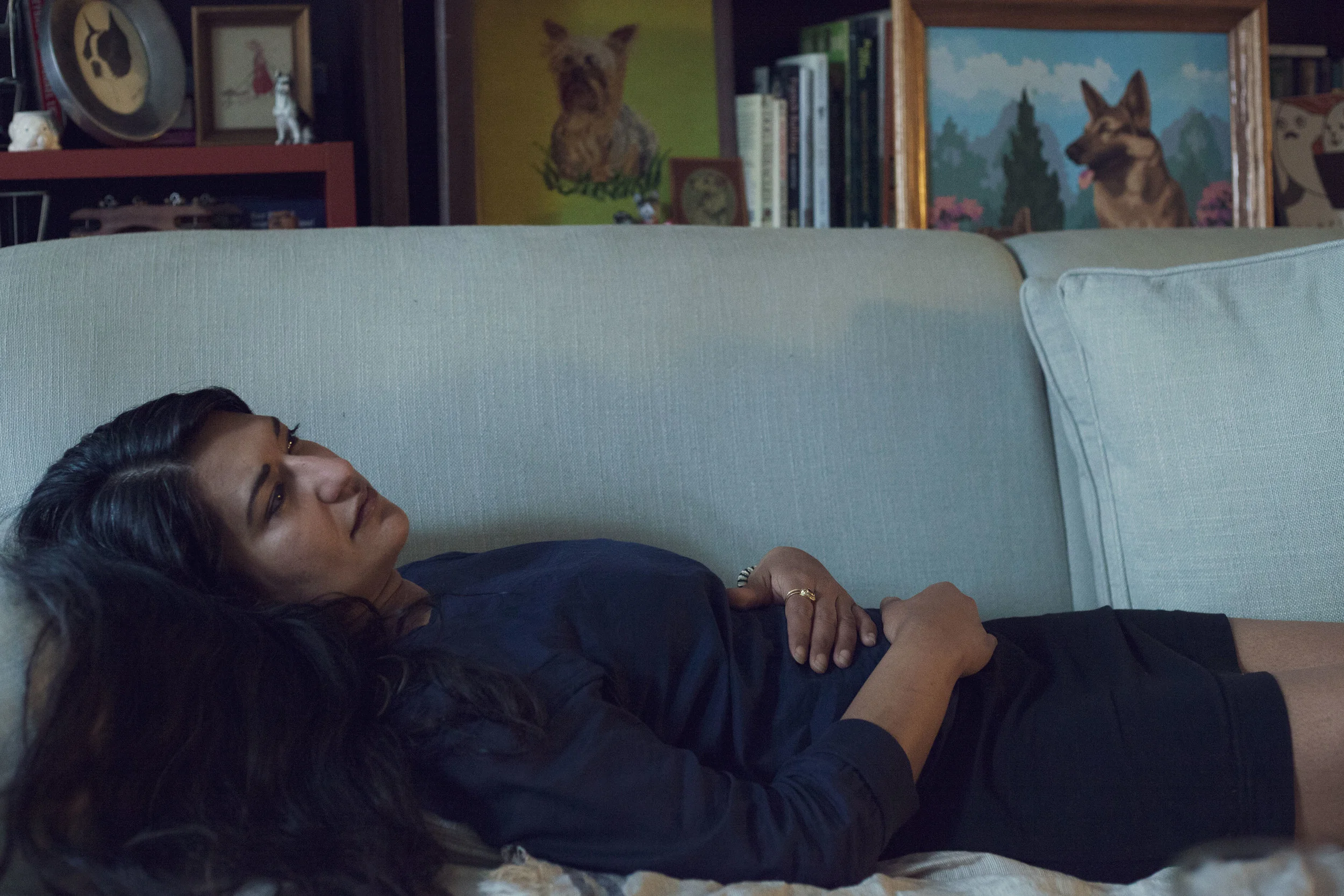 Visiting #4 (Sonia and dogs), 2013