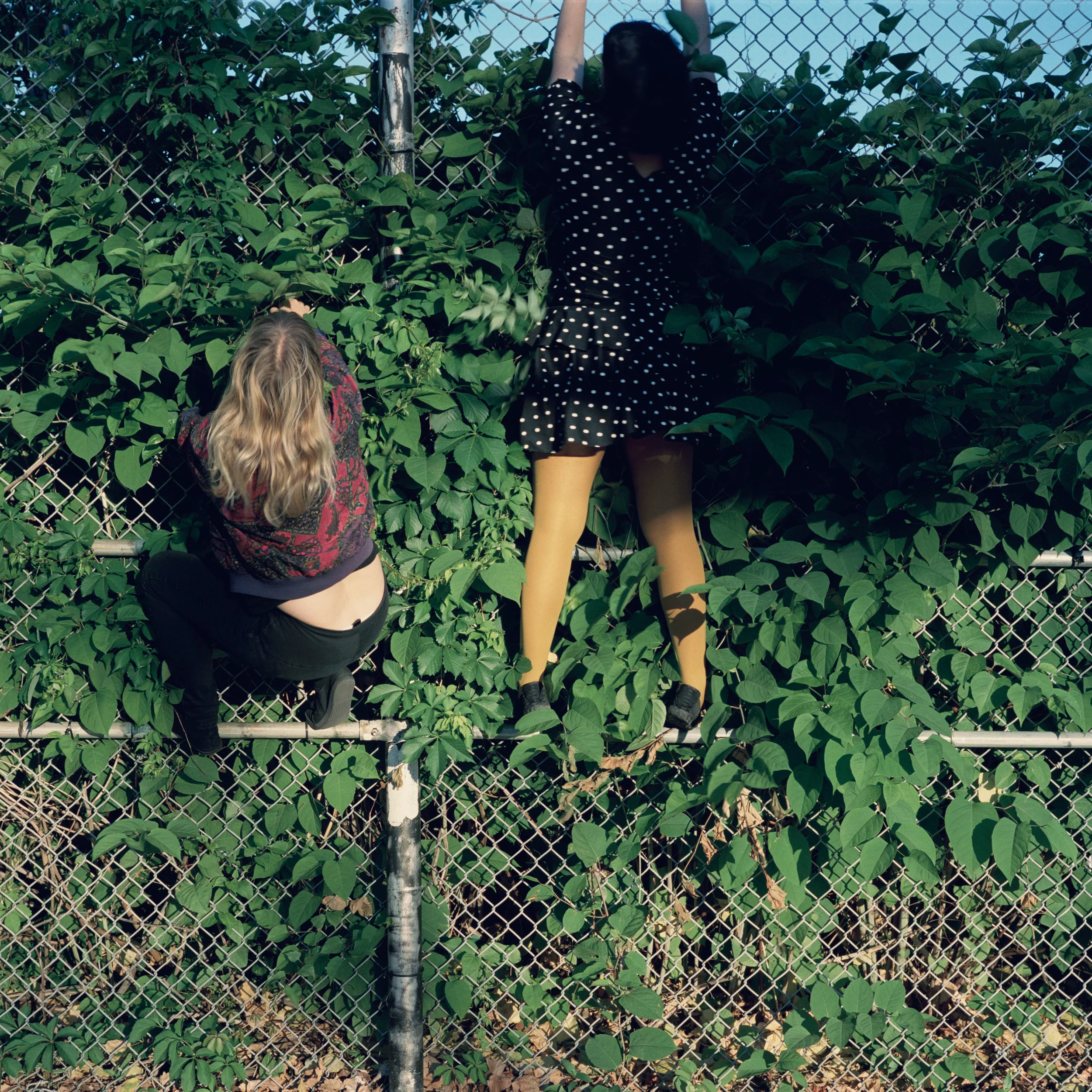 Visiting #7 (Greenpoint), 2013