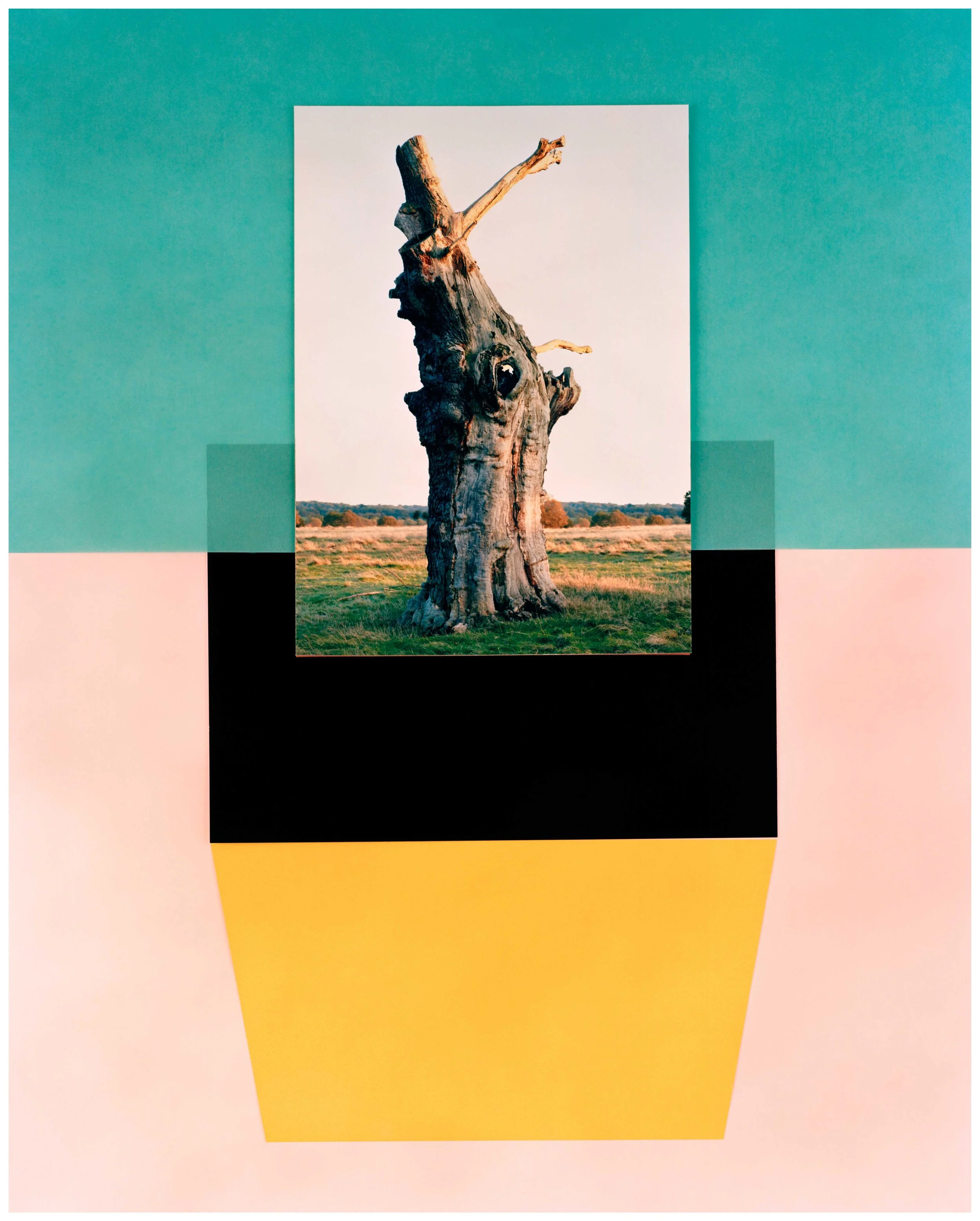 Co-existence - Composition-007