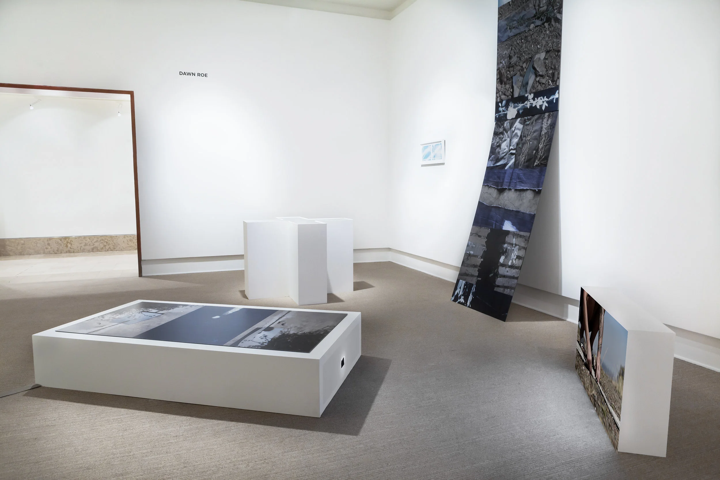 Conditions for an Unfinished Work of Mourning: Beauty as An Appeal to Join the Majority of Those Who Are Dead. 2018 Faculty Biennial, The Cornell Fine Arts Museum at Rollins College, Winter Park, FL