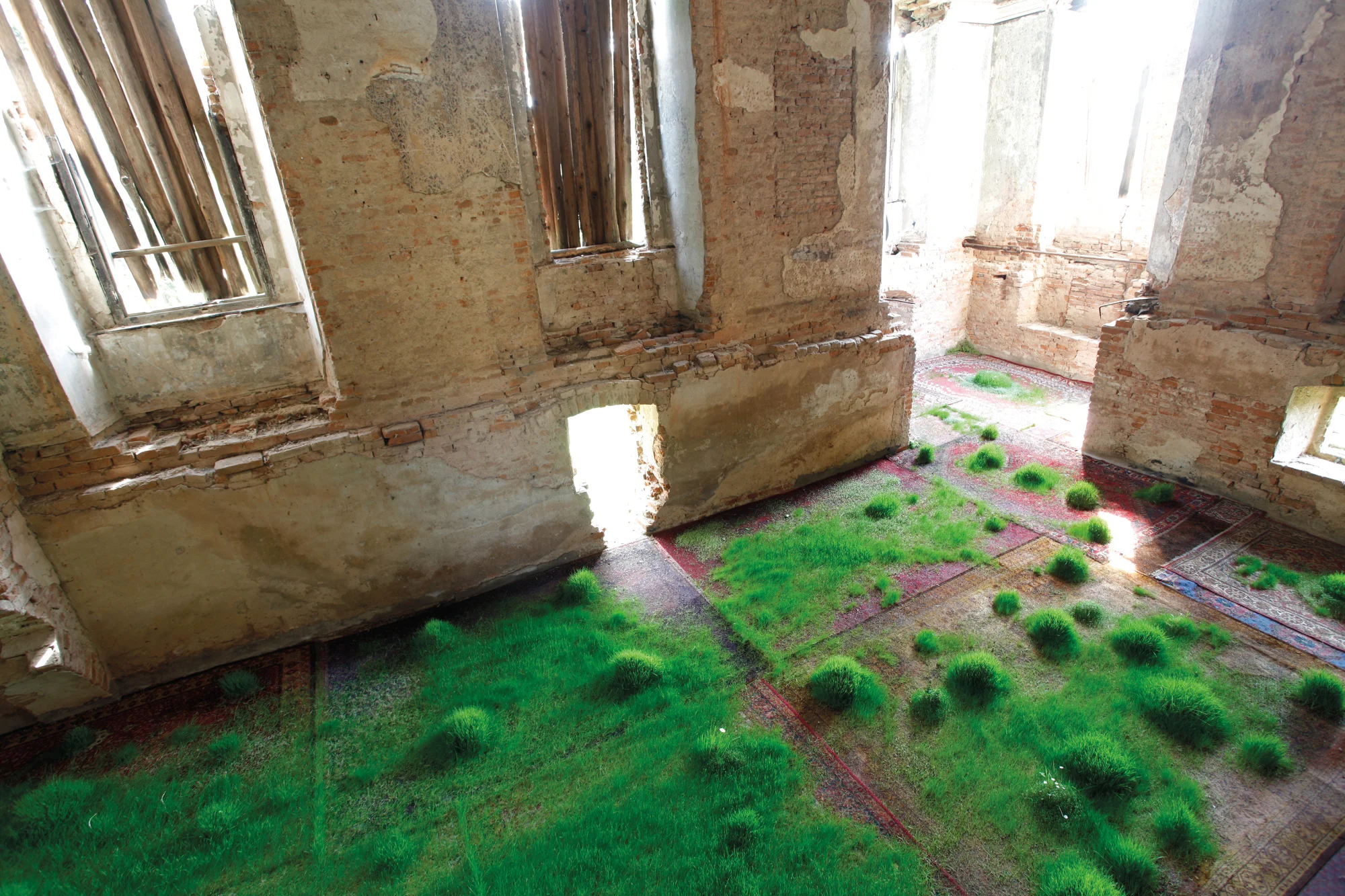 "From May to June 2012 I grew grass on rugs in a castle."