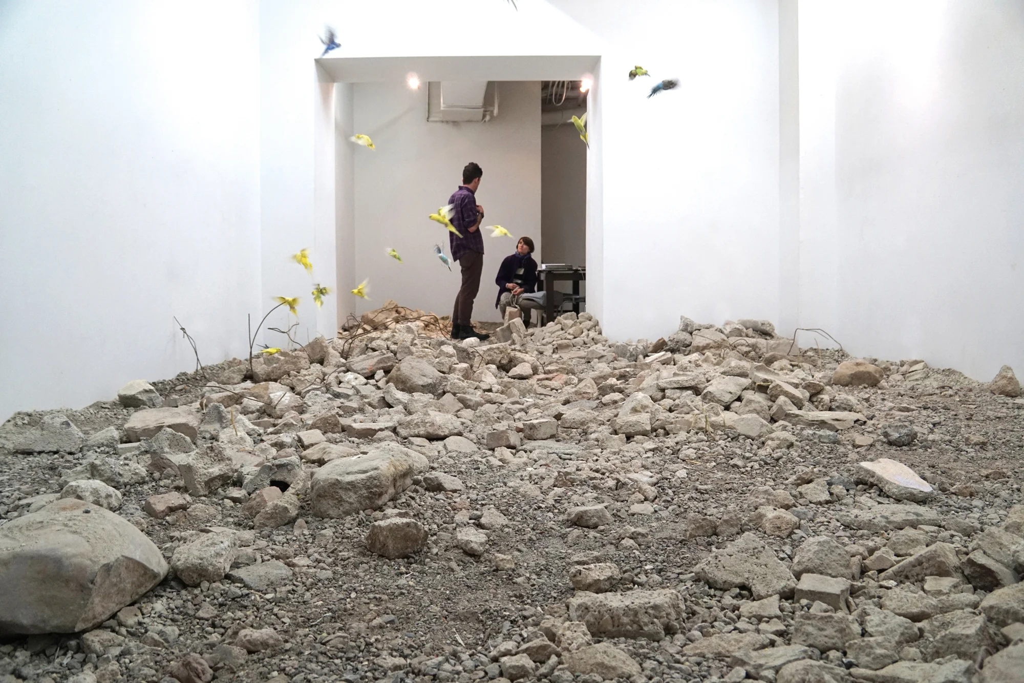 "In july 2015 I shipped debris from the syrian border to use as bird litter."