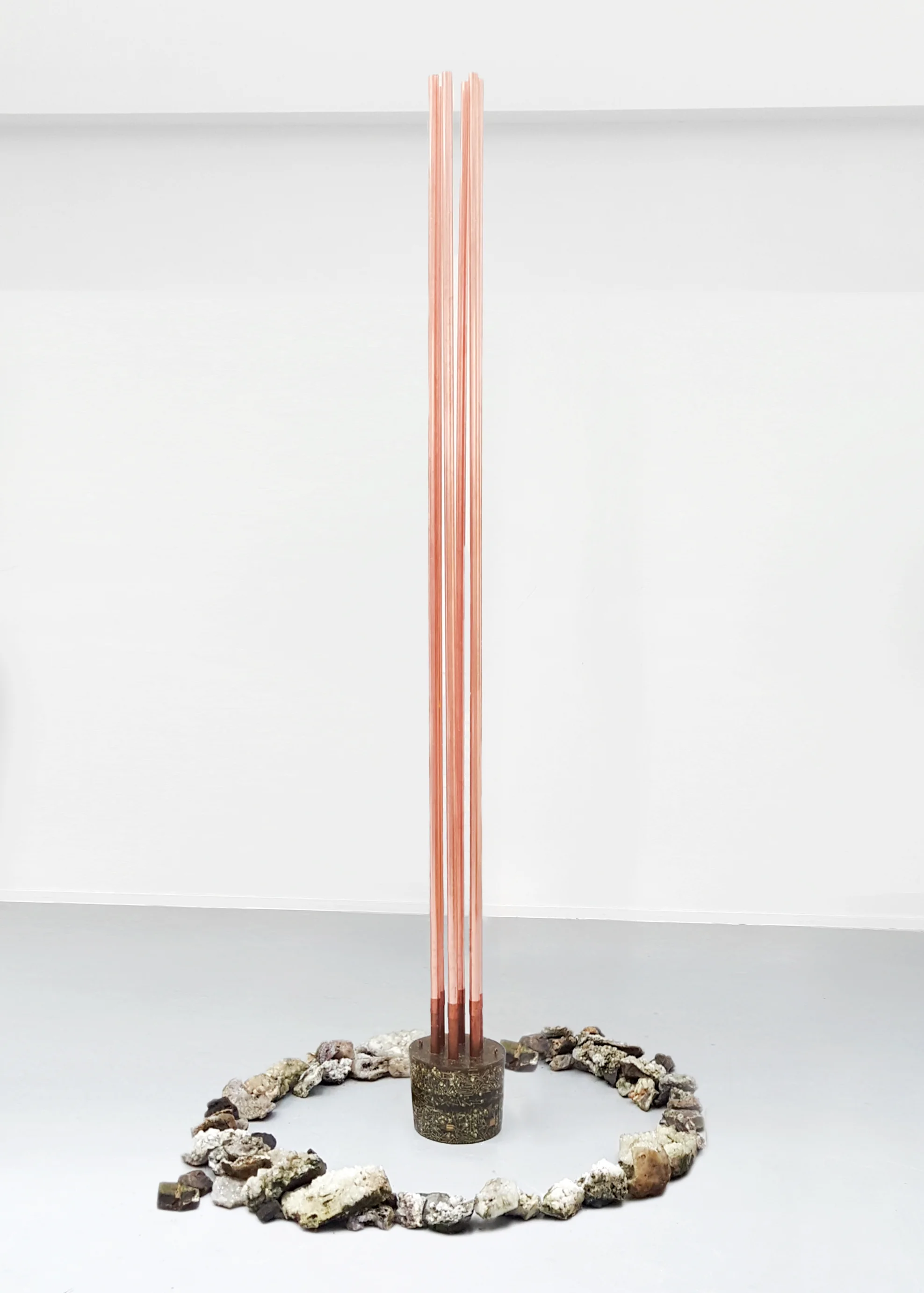 ‘Orgon’ 2016 Akademie der Bildenden Kuenste in Nuernberg