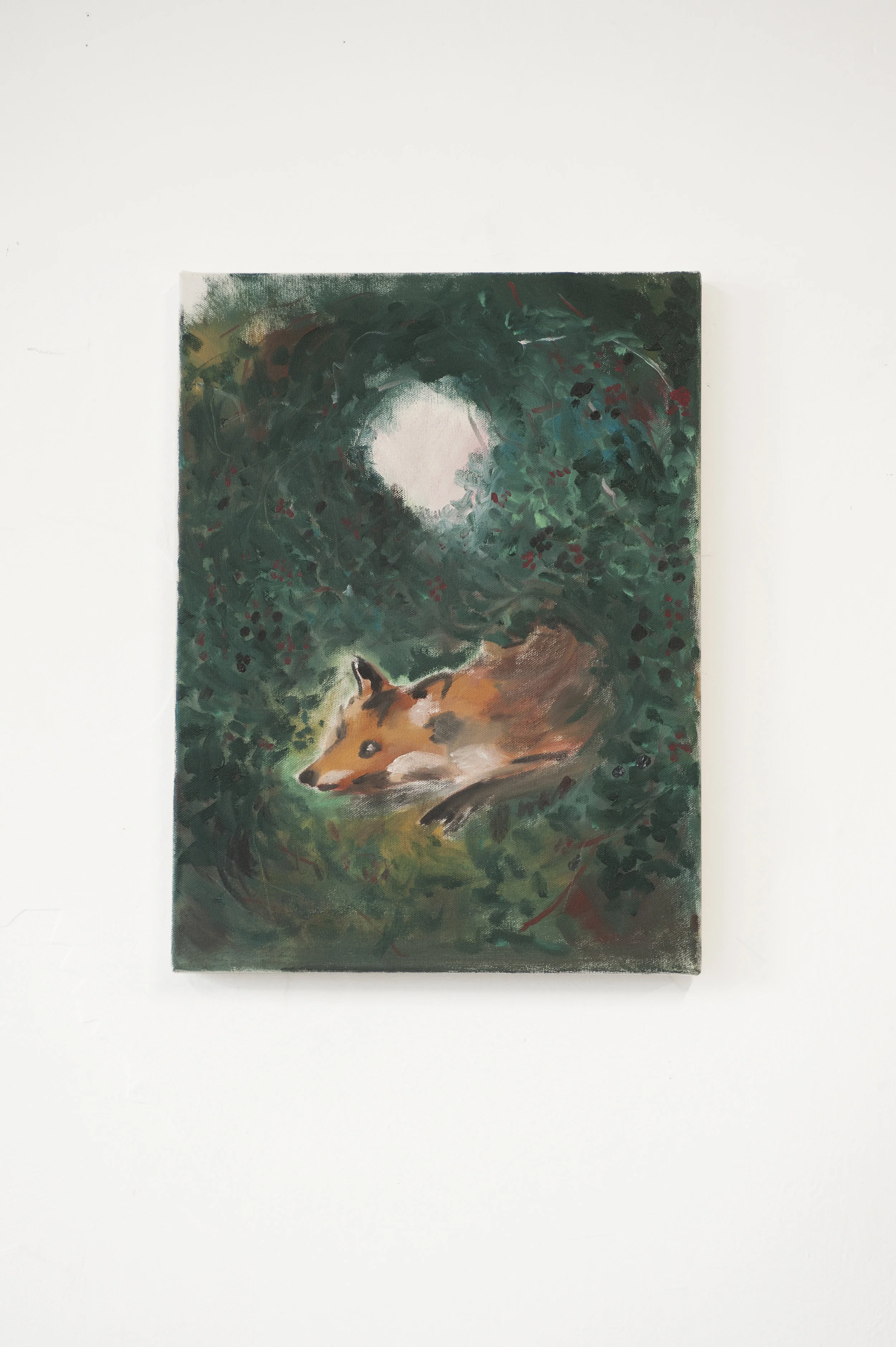 Fox in Blackberries 2019