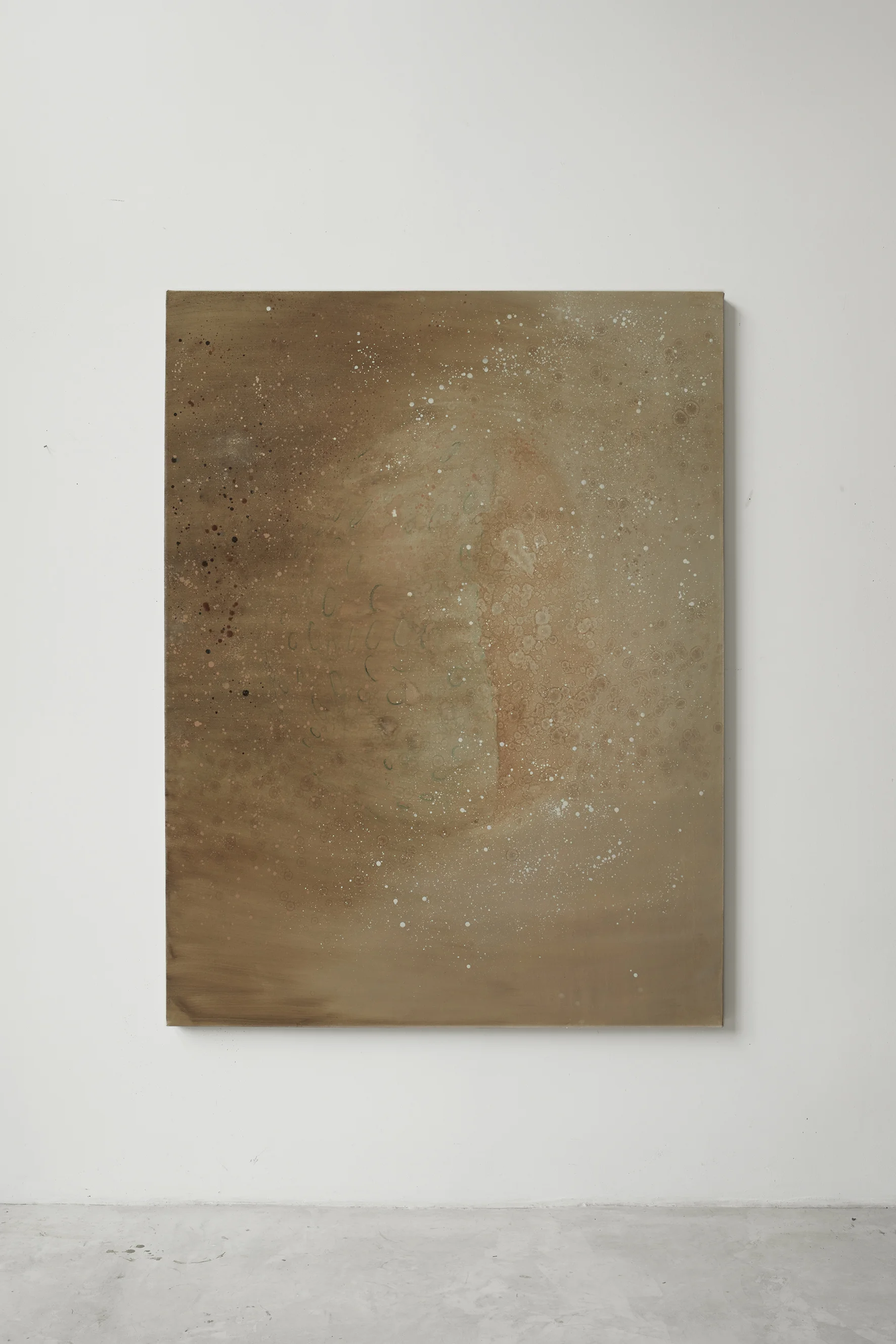 Nebula, 2019