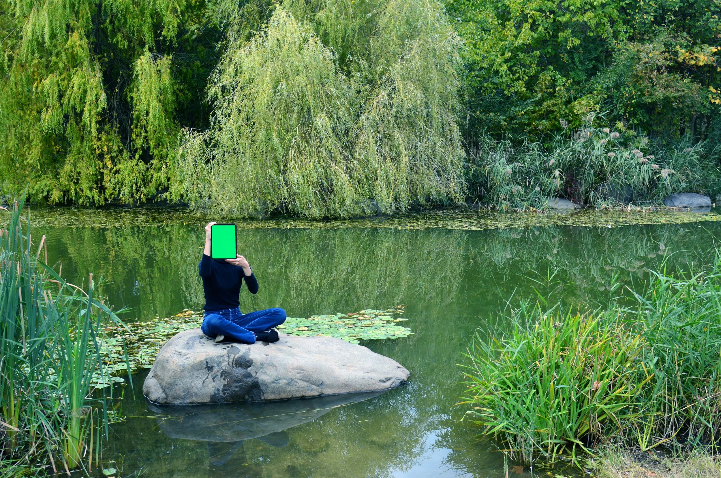 Entung Liu