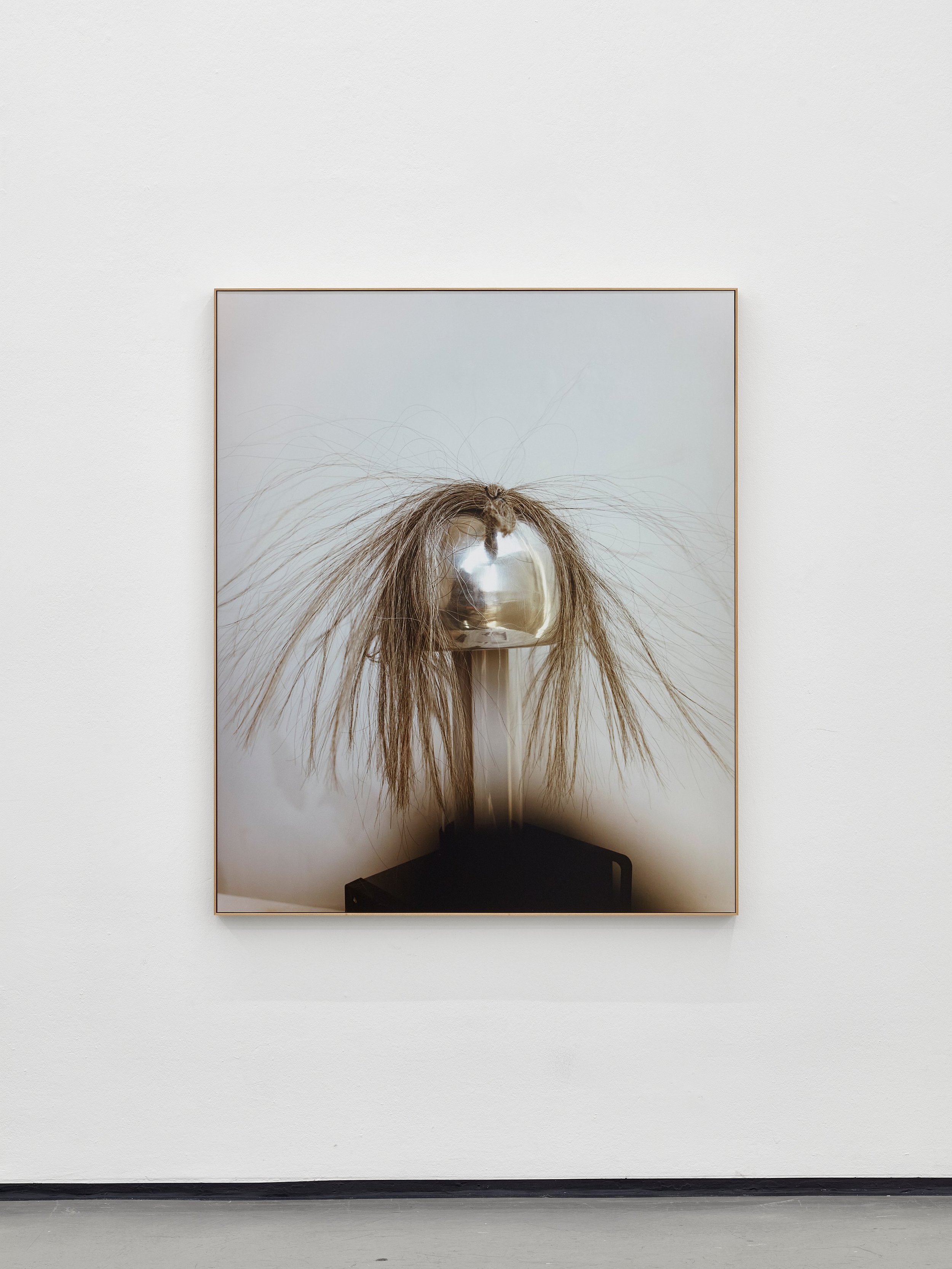 Sample Question, Kunstverein in Hamburg 2026