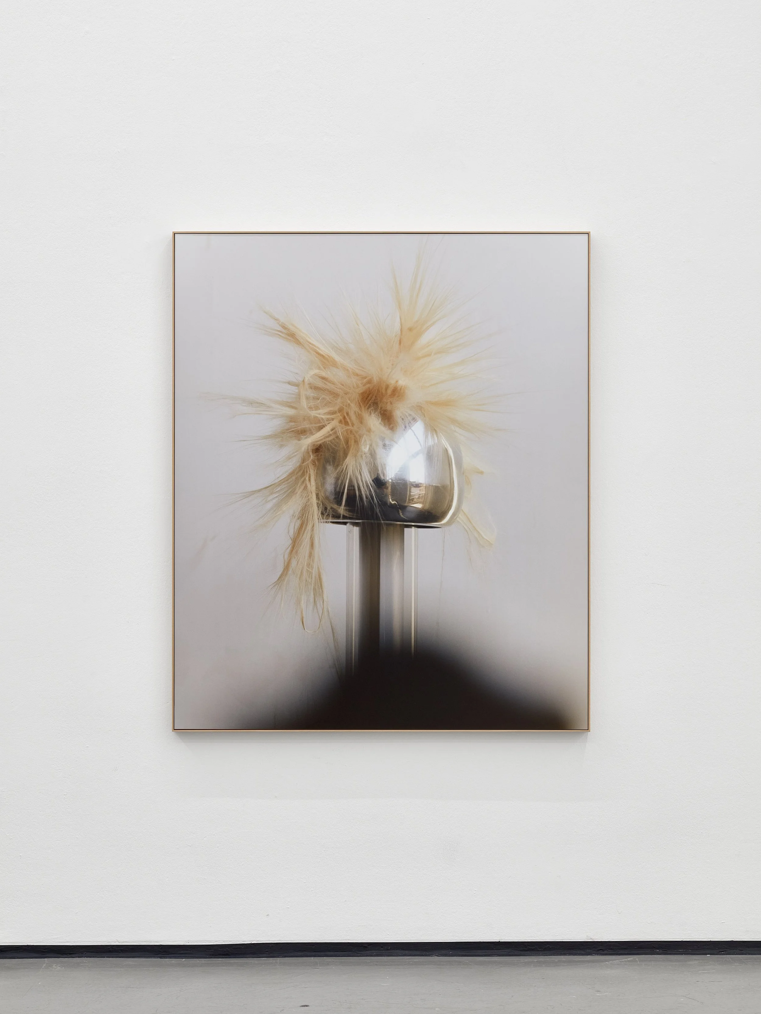 Sample Question, Kunstverein in Hamburg 2026