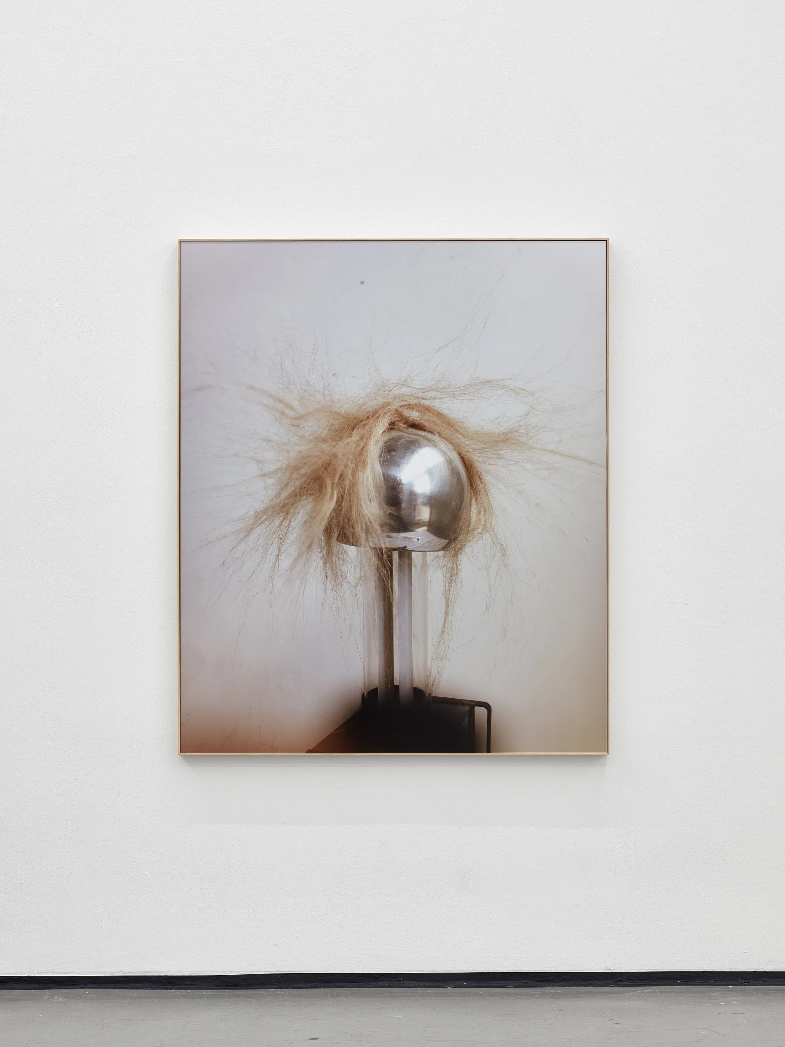 Sample Question, Kunstverein in Hamburg 2026
