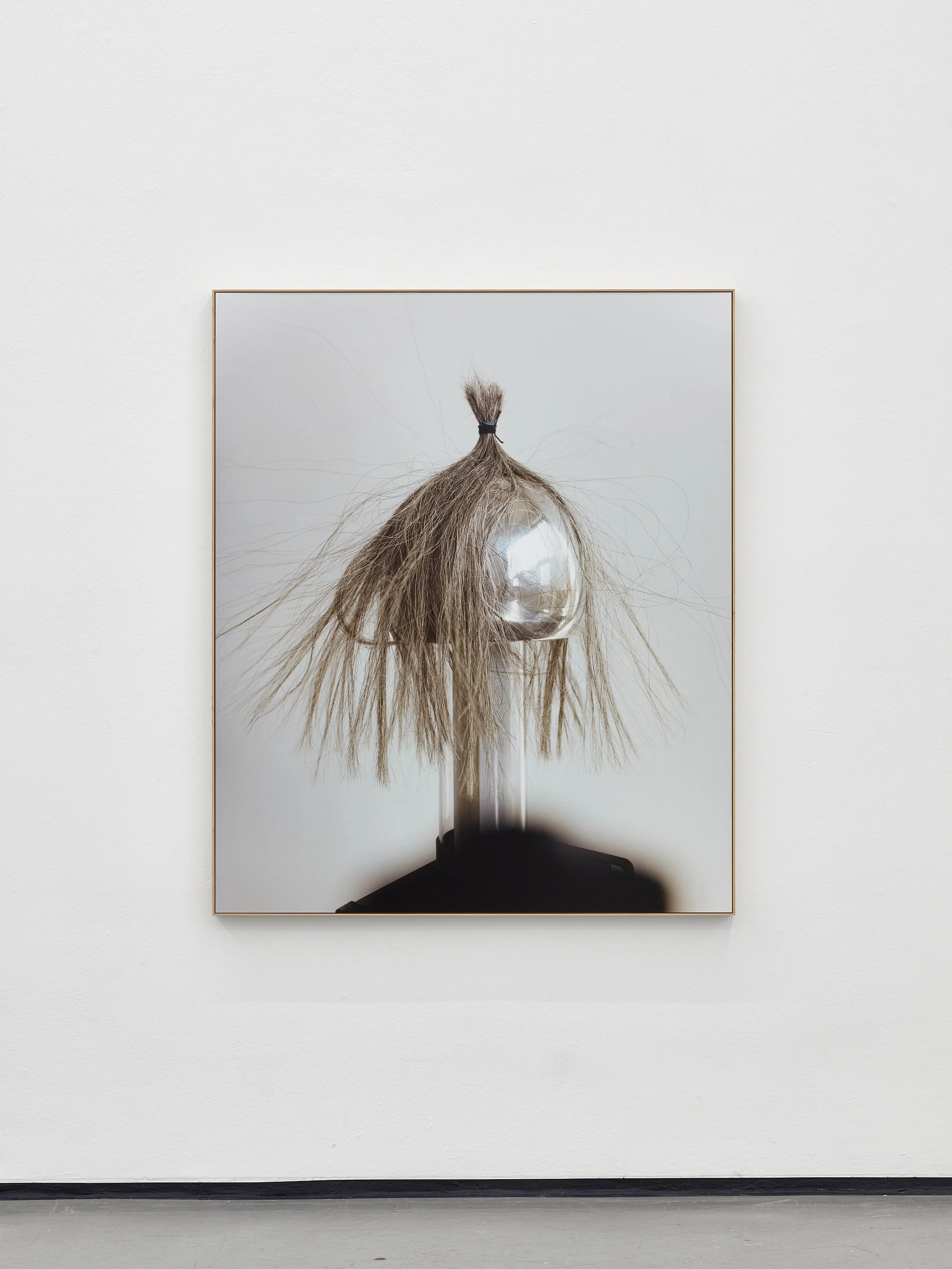 Sample Question, Kunstverein in Hamburg 2026