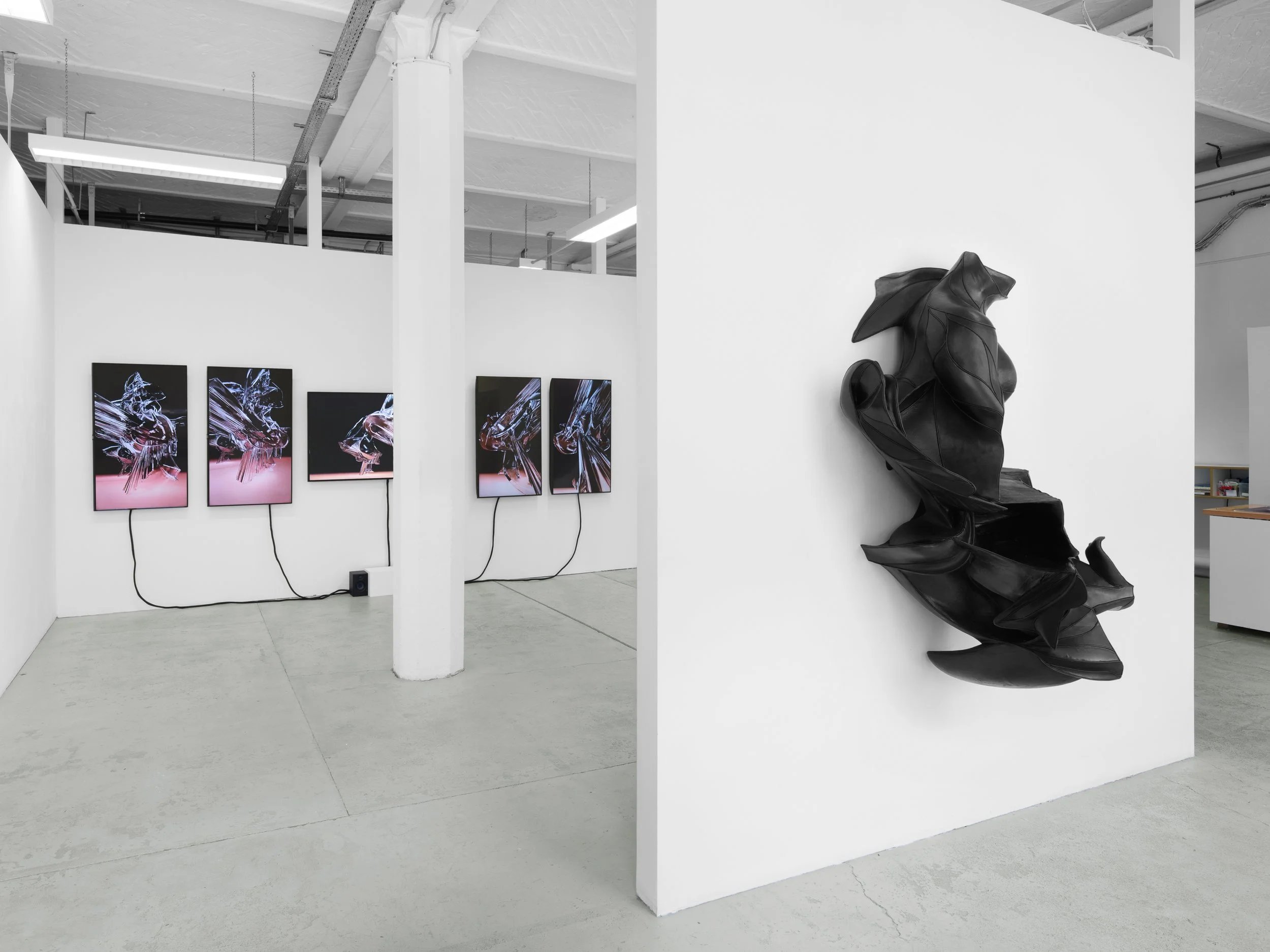 SaloméChatriot_VoidIsSeductive_ExhibitionView8_2026..jpg