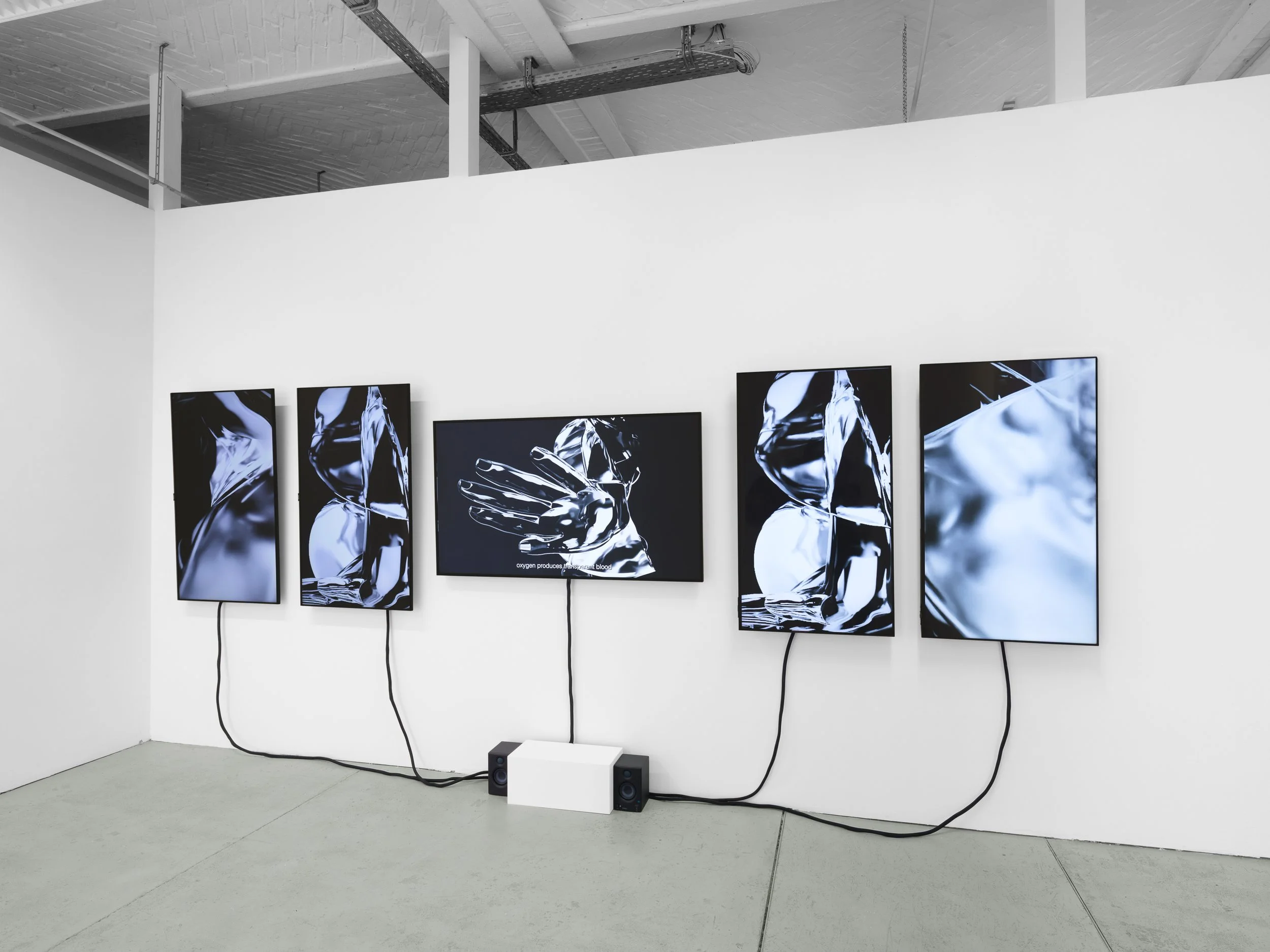 SaloméChatriot_VoidIsSeductive_ExhibitionView2_2026..jpg